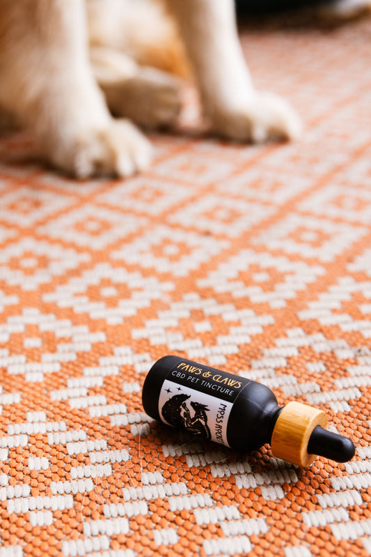 CBD Pet Tincture (Wholesale - 10 Pack)